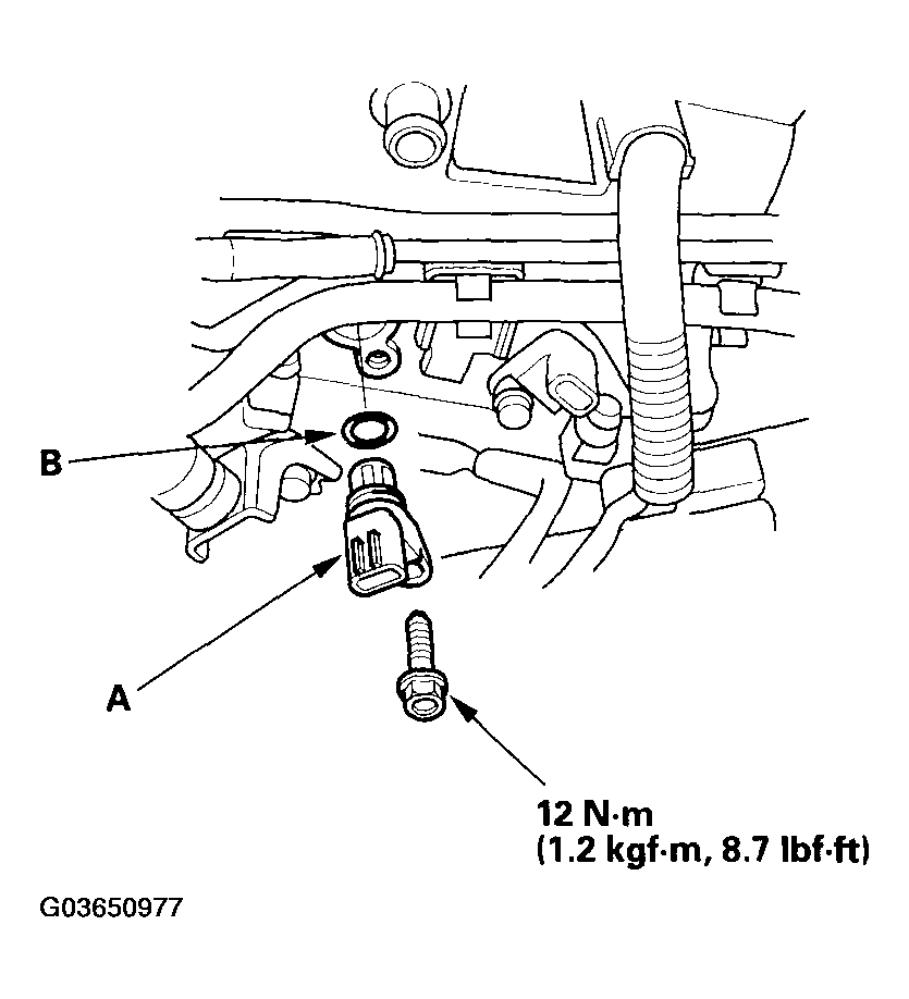 G03650977
